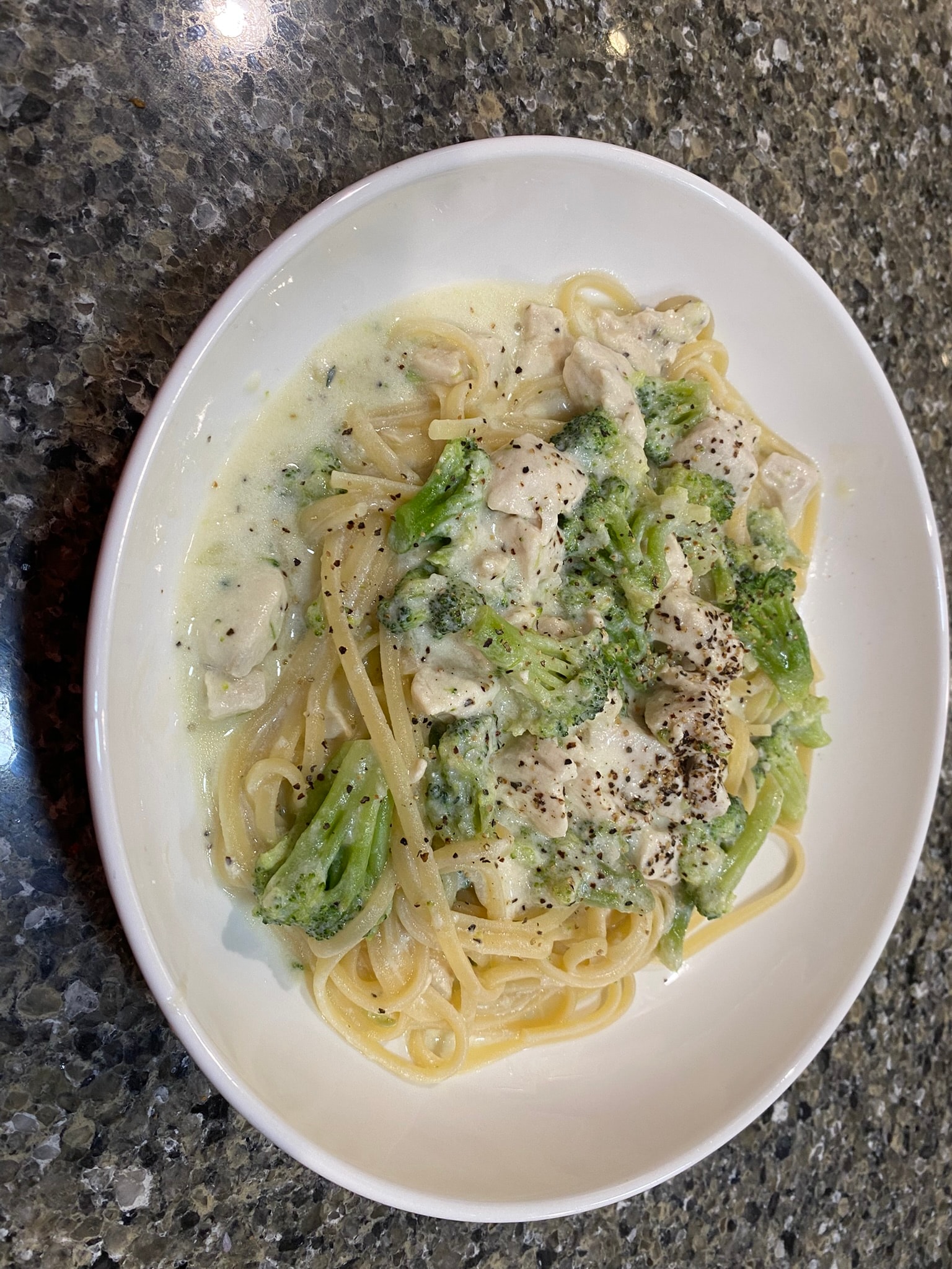 Chicken Broccoli Alfredo