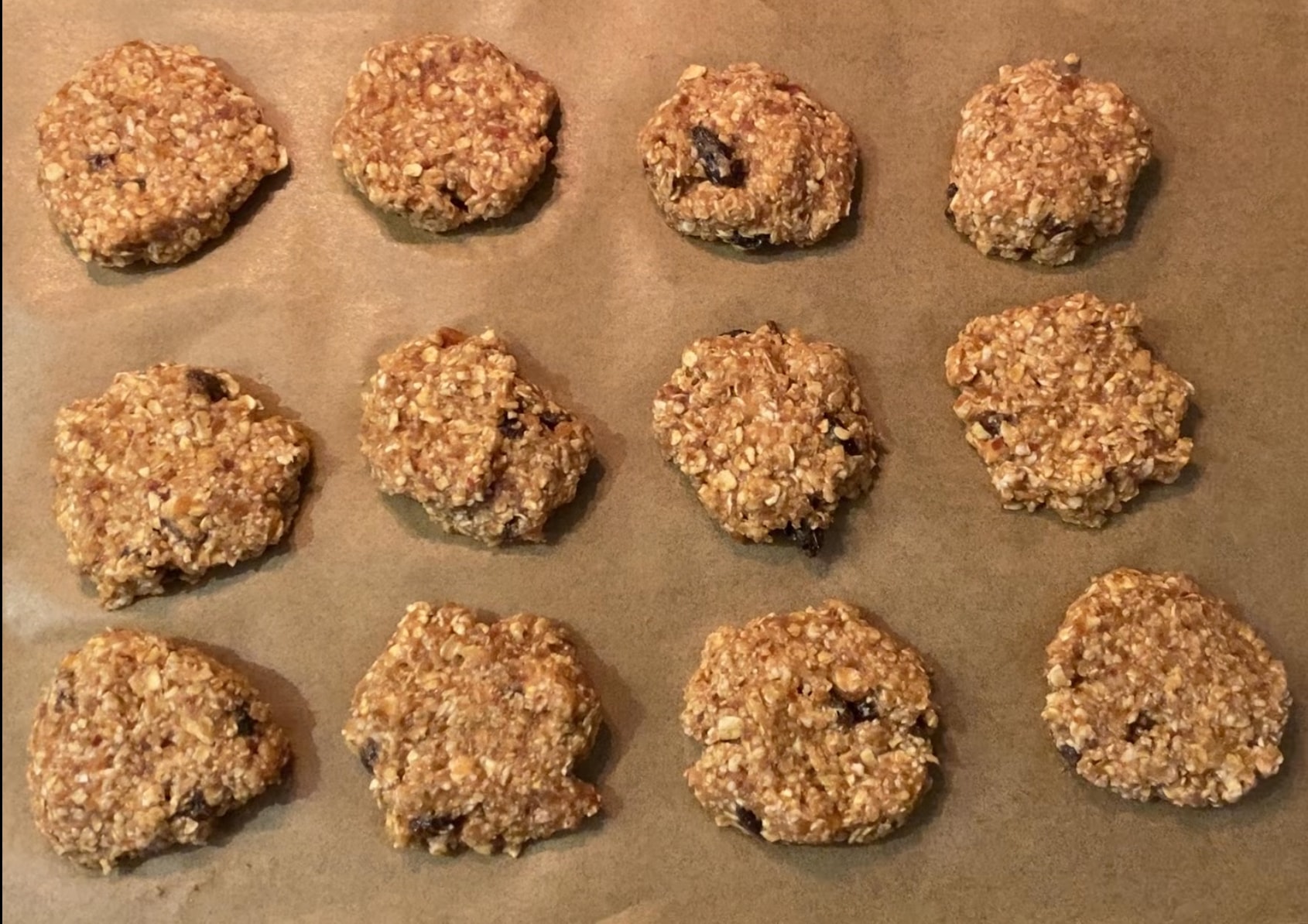 Oatmeal Raisin Bliss